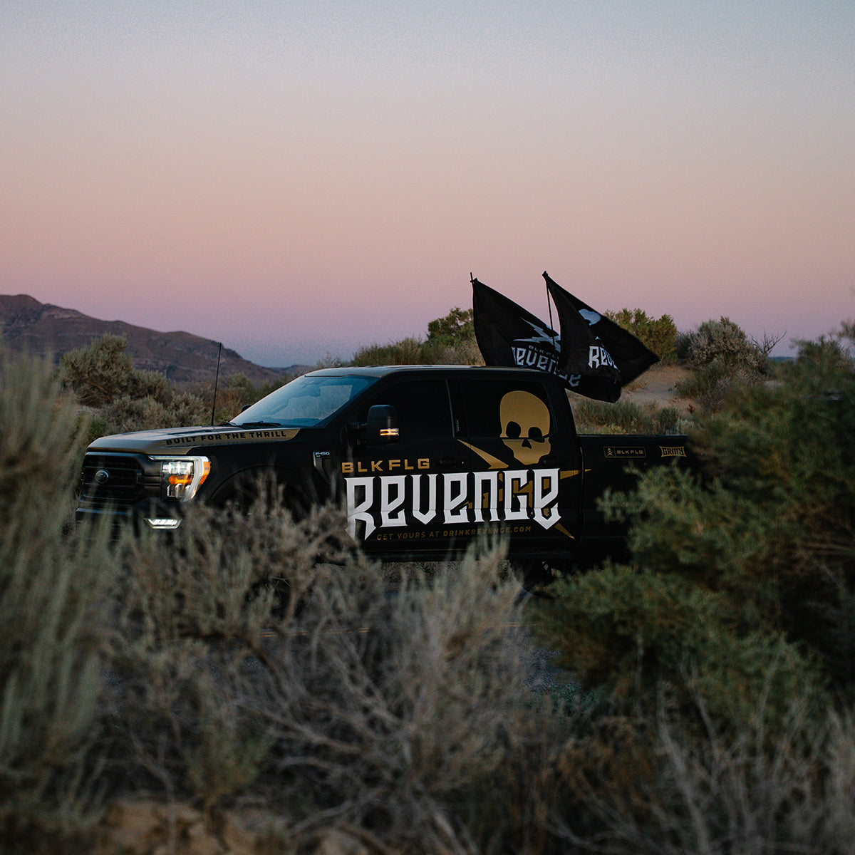 REVENGE FLAG